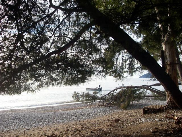 Лодка в море