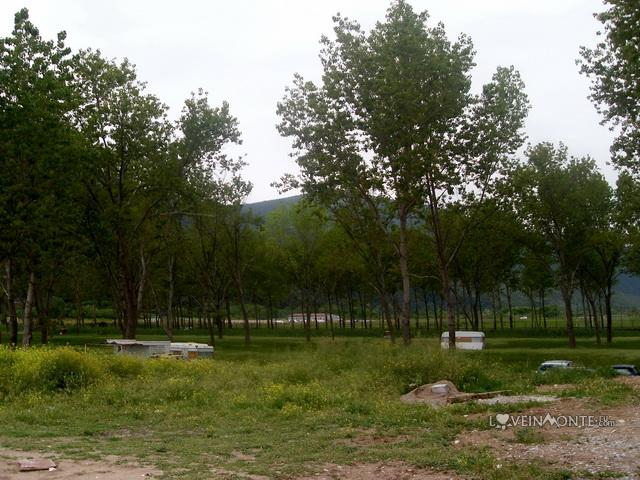 Кемпинг пляж Яз