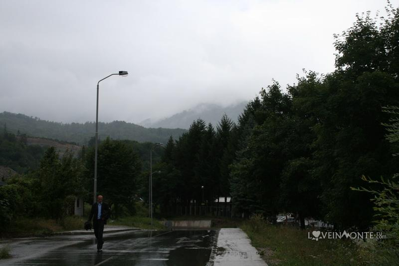 Мойковац
