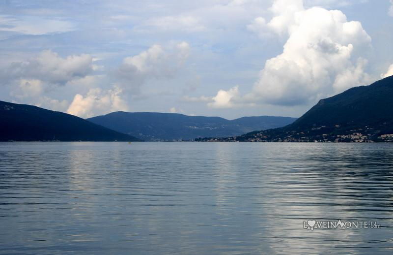 tivat12