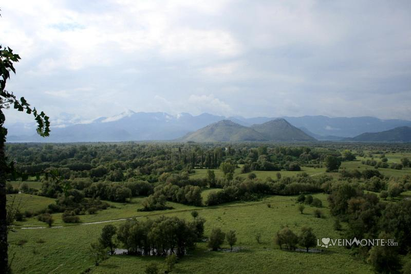 Жабляк Црноевича Черногория