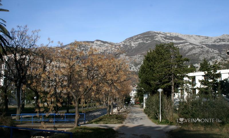 Чань Черногория