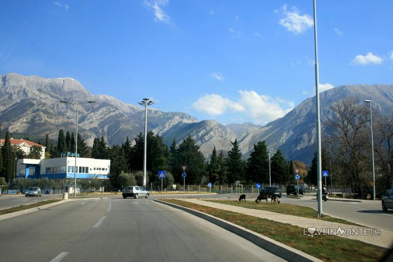 Дорога на Старый Бар
