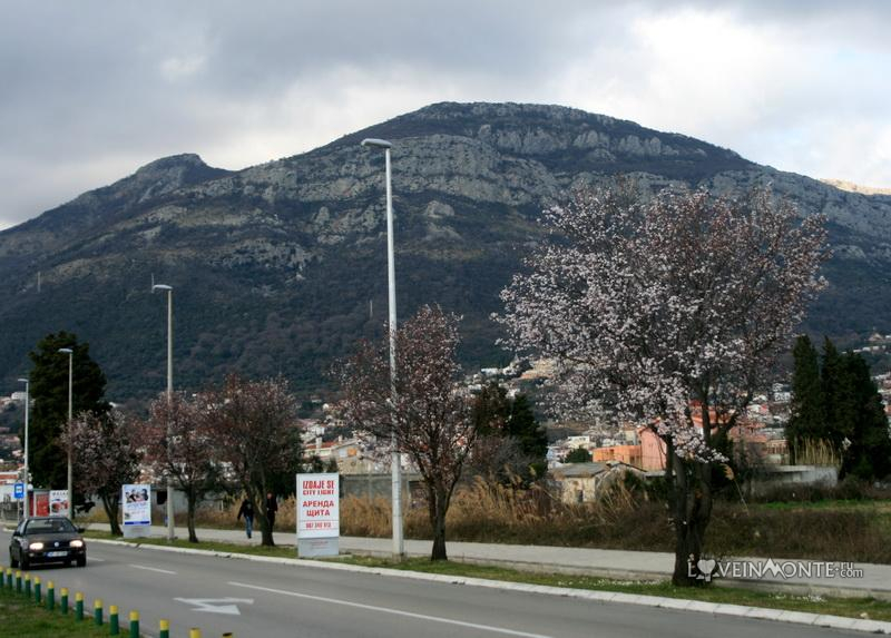 Весна в Баре Черногория