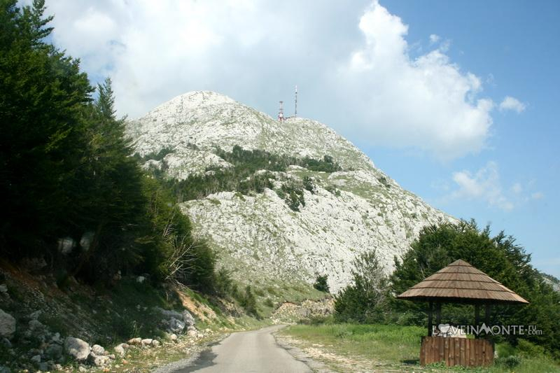 Дорога на Ловчен через Негуши