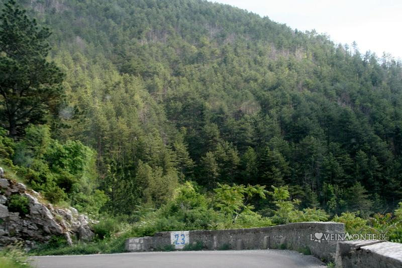 Серпантины по дороге на Ловчен