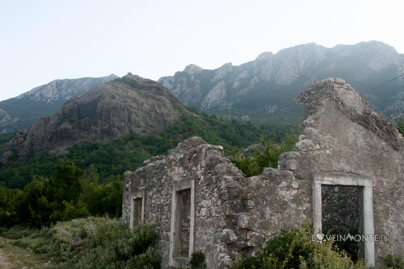 Гора Црни Крш