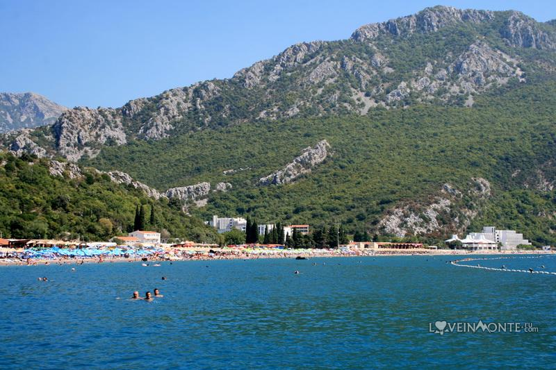 Чань