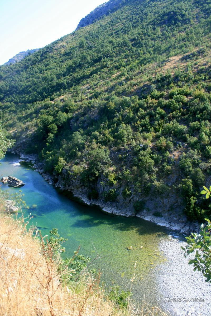 Река Морача