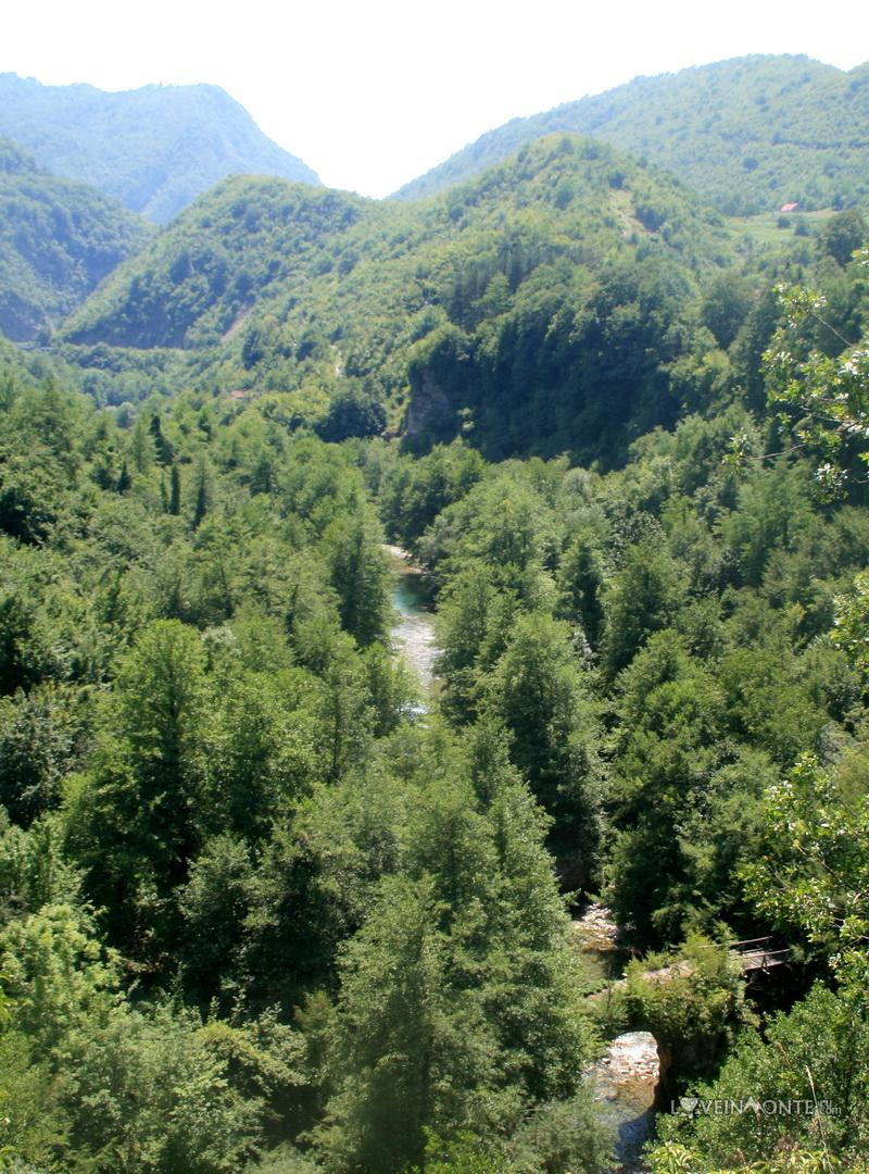 Вид на каньон реки Морача
