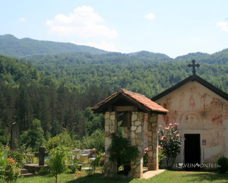 Moraca
