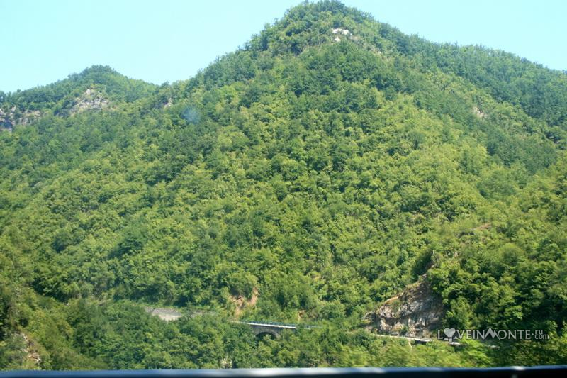 Каньон Морачи, Черногория