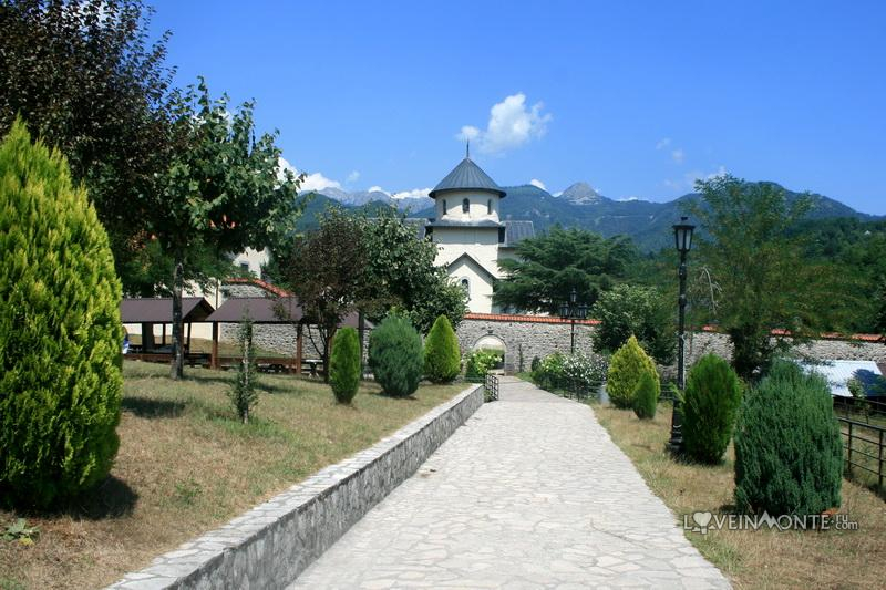 Морача