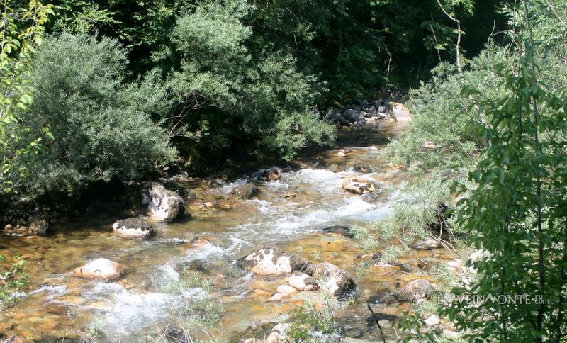 Каньон Мртвицы