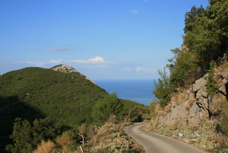 Дорога на Румию