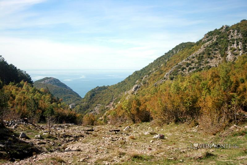 Горы осенью