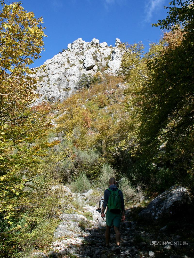 Белая скала, Румия