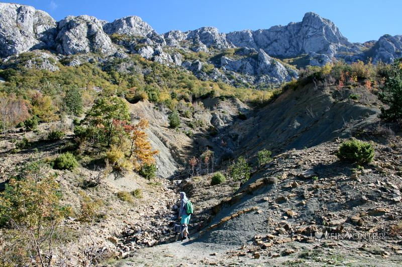 Белая скала, Румия