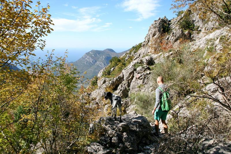 Белая скала, Румия