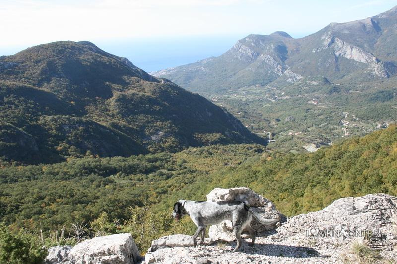 Белая скала, Румия