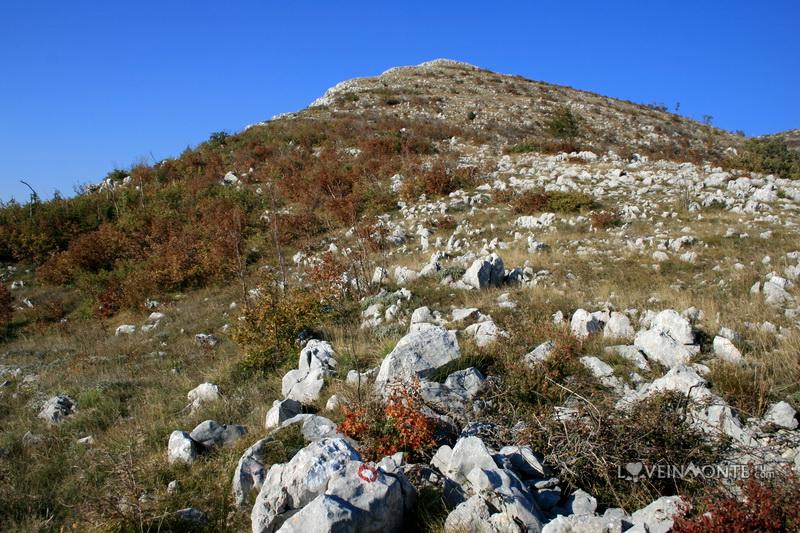 Горы в Черногории