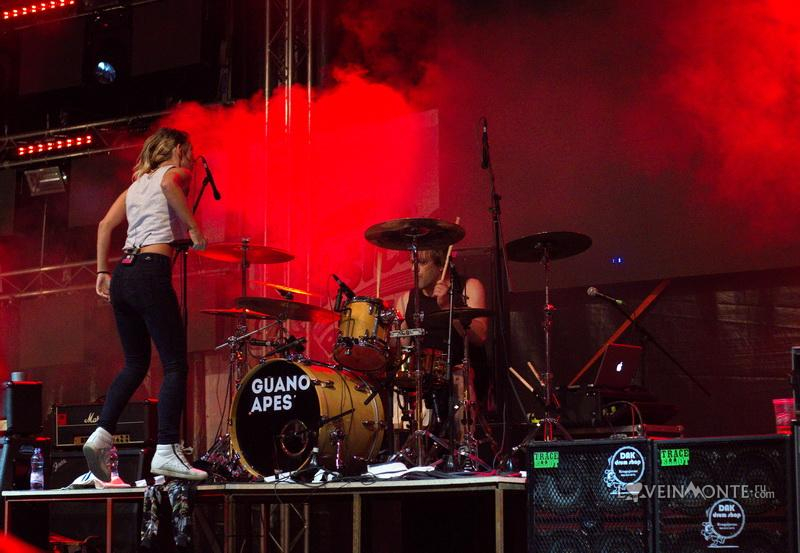 Sandra Nasic, Guano Apes