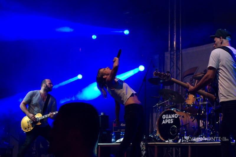 Sandra Nasic, Guano Apes