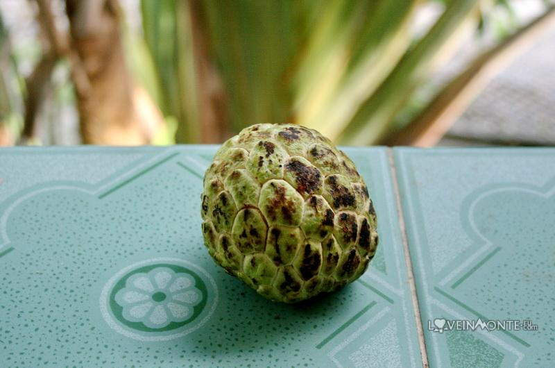 fruit9