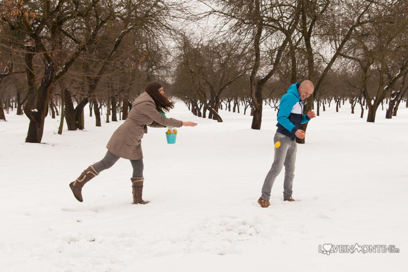 Играть в снежки лимонами
