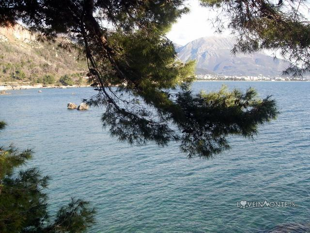 Море Черногория Море Черногория