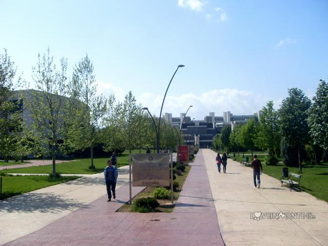Университет в Подгорице