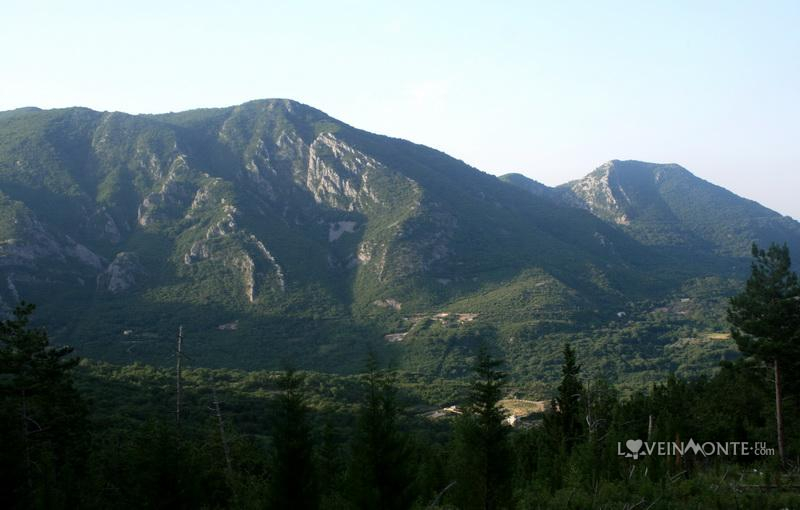 Горы в Черногории