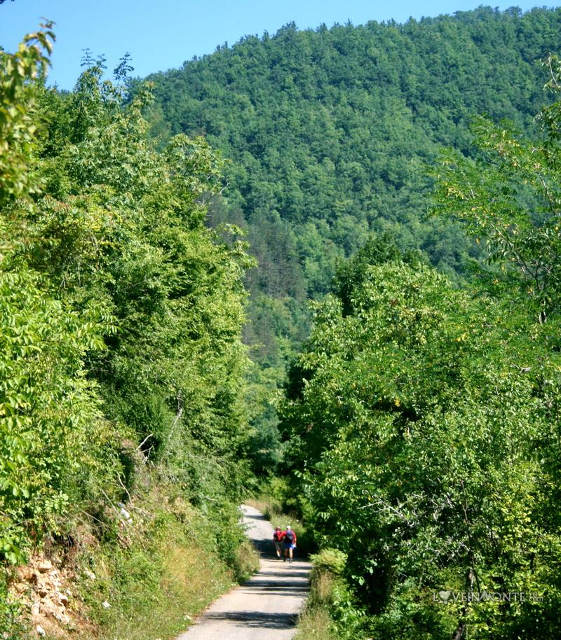 Каньон Мртвица, Черногория