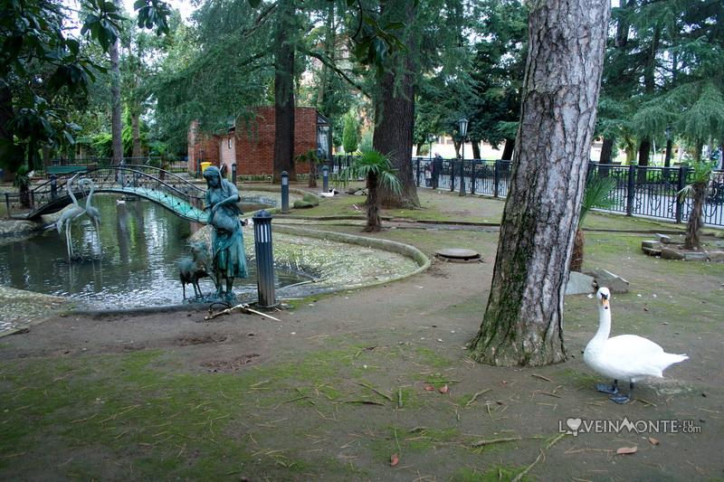 Лебедь в Батуми