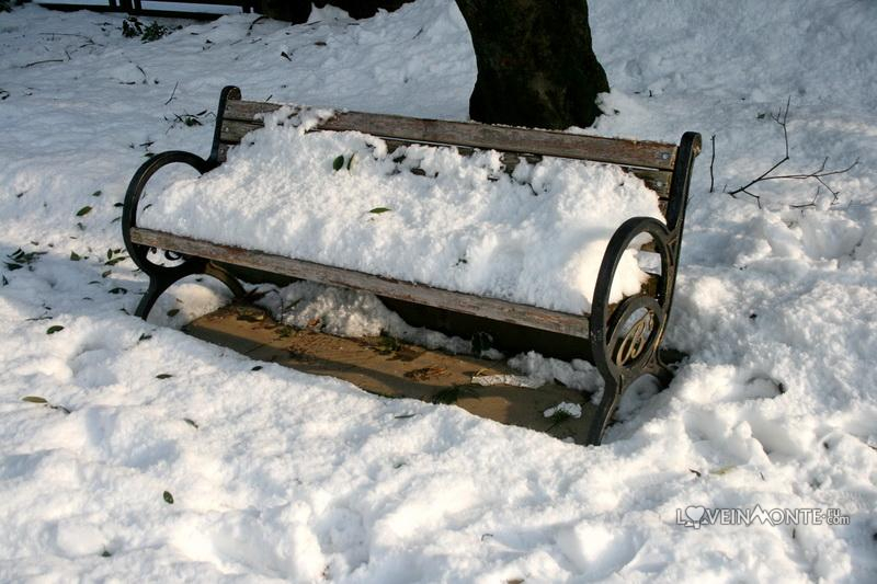 Батуми в январе
