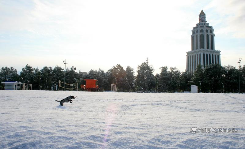 Пляж Батуми в январе