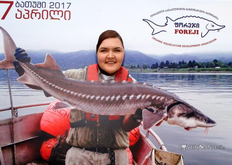 Фестиваль морепродуктов в батуми