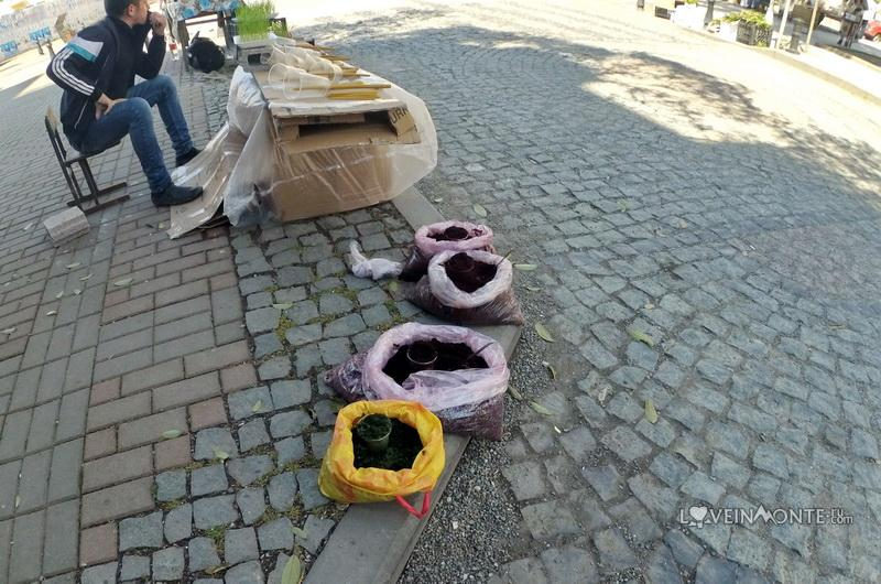 Пасха в Батуми