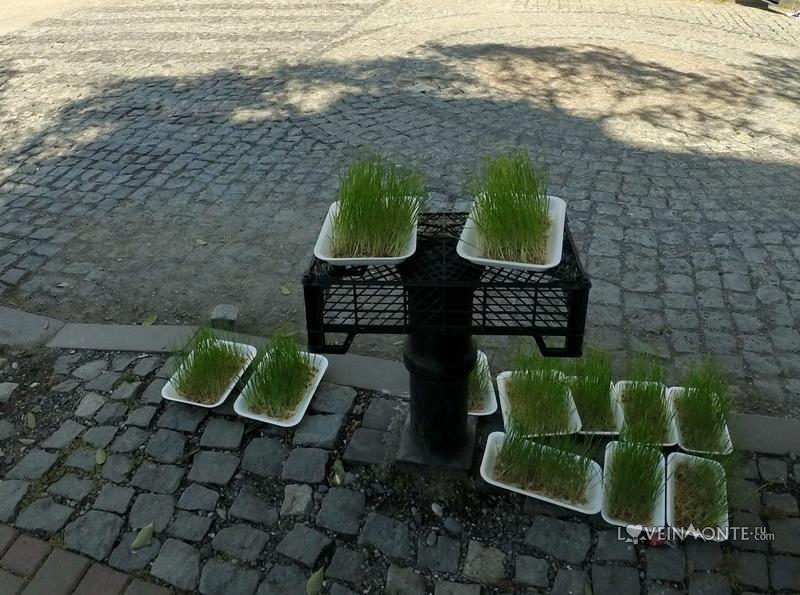 Пасха в Батуми