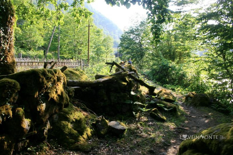Село Махунцети