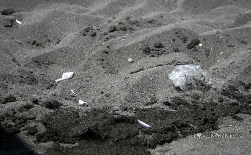 Магнитные пески грузии противопоказания