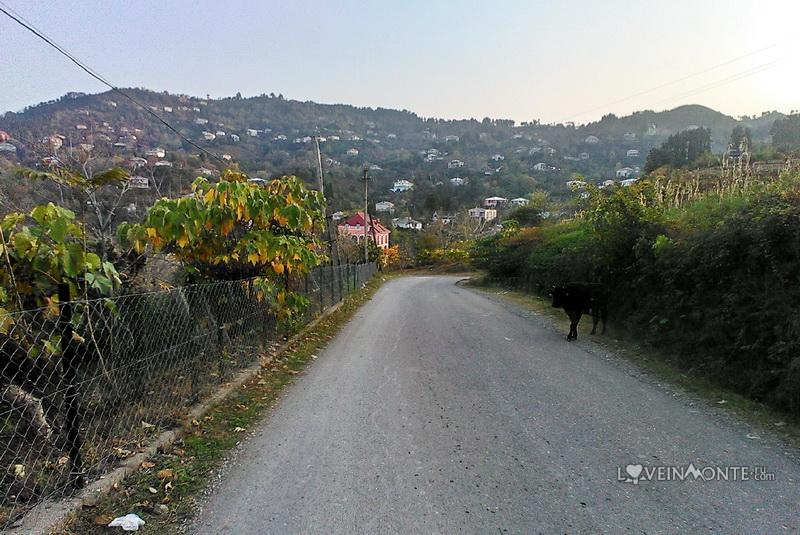 Ахалисопели