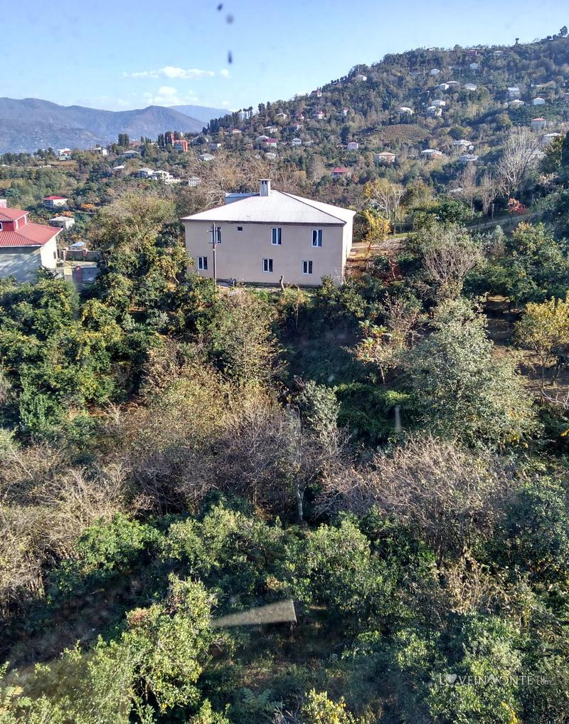 Сад в Ахалисопели