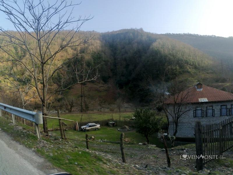 Махунцети весной