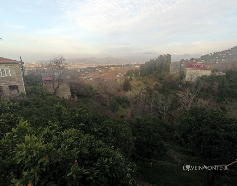 Ахалсопели весной