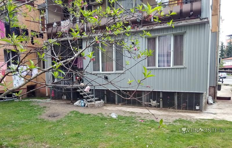 Дома в Батуми