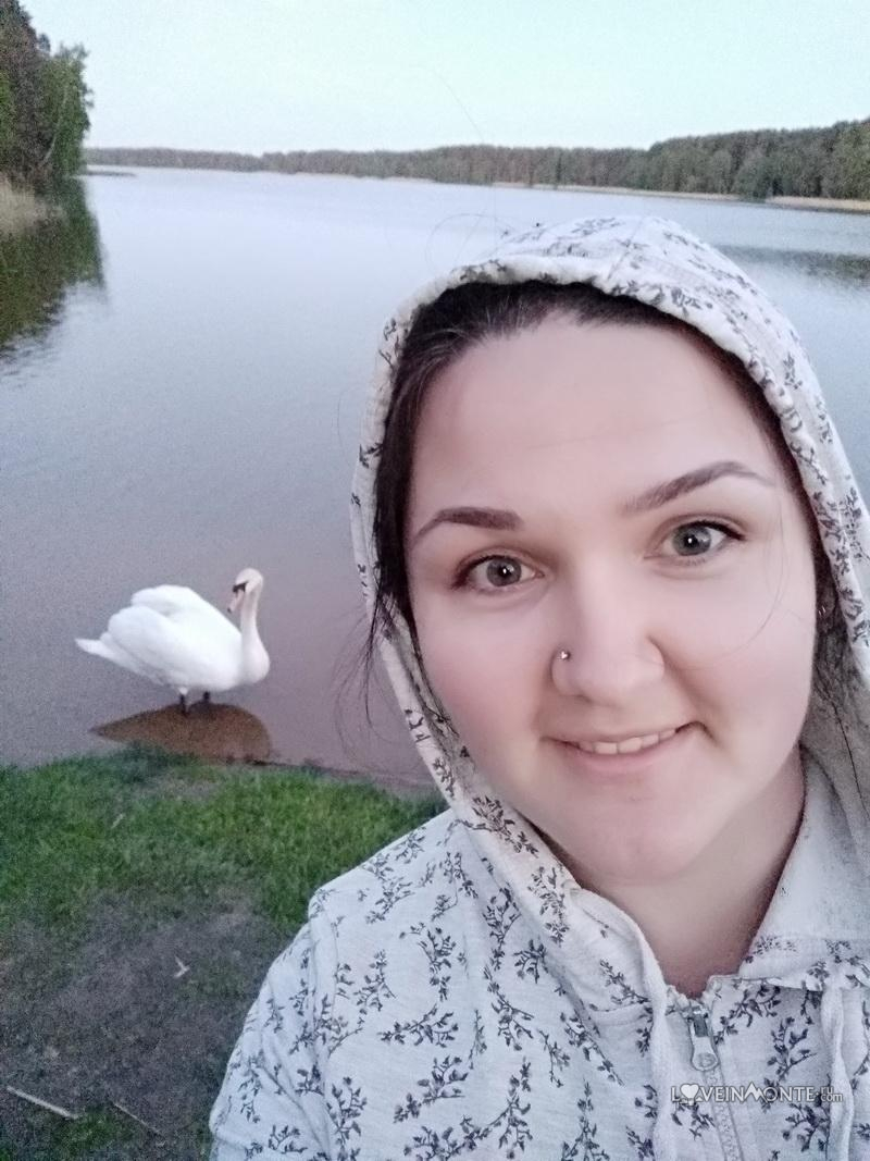 Лебедь в Поречье
