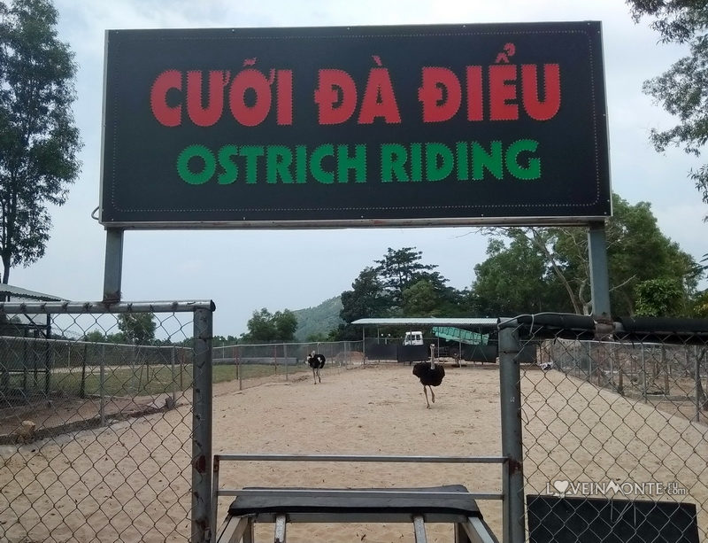 Парк развлечений в Вунгтау