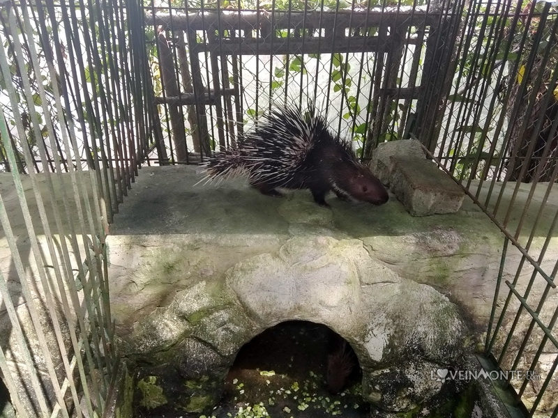 Парк развлечений в Вунгтау