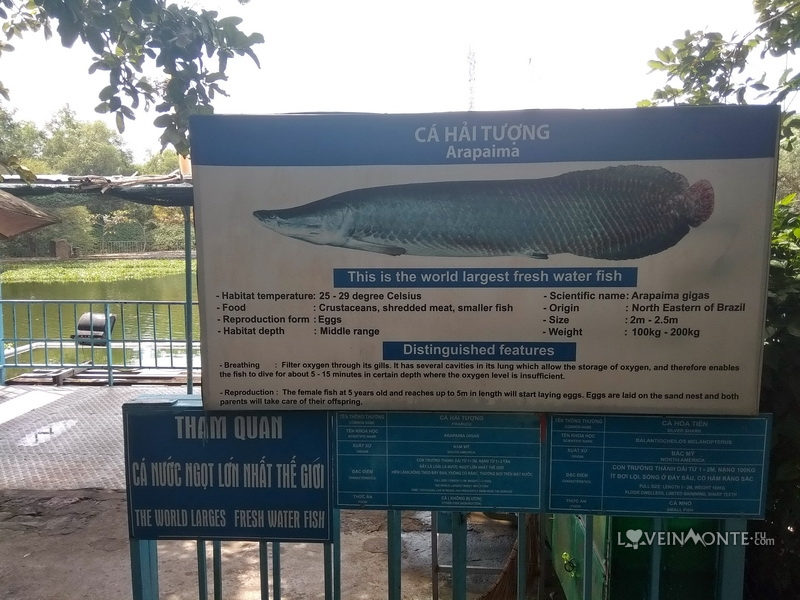 Гигантская рыба в парке Ho May Вунгтау